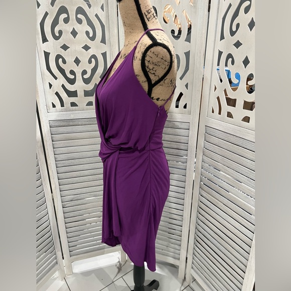 Haute Hippie Purple Kaitlin Silhouette Wrap Front Dress - Picture 5 of 13